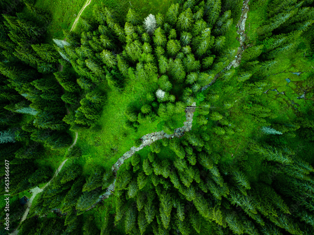 Aerial drone view of the educational trail Zadne Medodoly, High Tatras, Slovakia Aerial drone view of the educational trail Zadne Medodoly, High Tatras, Slovakia