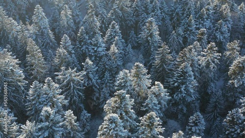 blue texture winter landscape trees