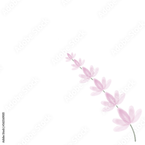 Fototapeta Naklejka Na Ścianę i Meble -  pink flower pattern 