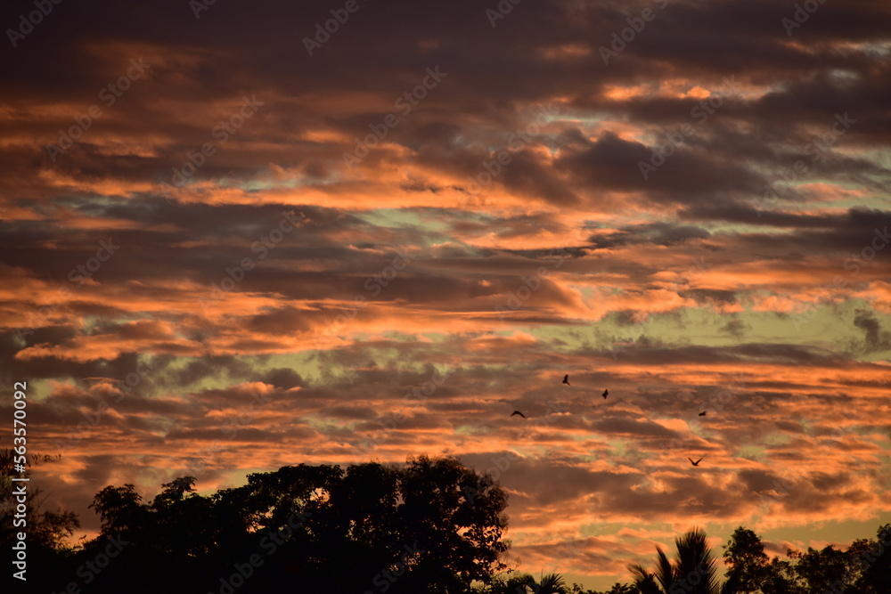 A sunset with golden clouds and birds flying in the sky .