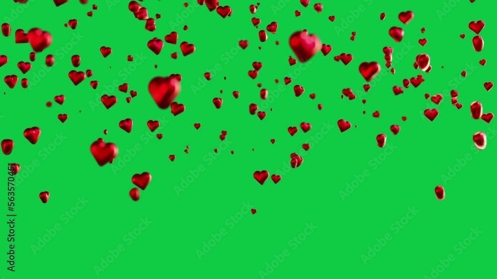 Falling red chubby hearts. 4k seamless video on Chroma Green background. Valentine's day, special days concept. Falling red chubby hearts. 4k seamless video on Chroma Green background. Valentine's day, special days concept.