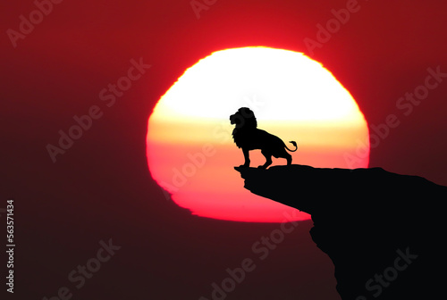 A majestic pose of a Lion. Lion silhouette at sunset art, lion illustration, Silhouette of a lion on sunset background.