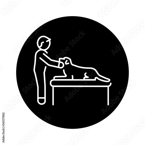 Medical examination of the pet color line icon. Dog training.