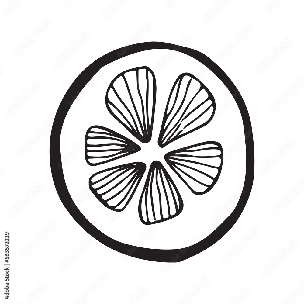 Cut orange. Citrus doodle isolated on deed background. Abstract image of juicy fruit. Vector illustration Cut orange. Citrus doodle isolated on deed background. Abstract image of juicy fruit. Vector illustration