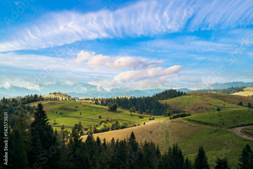 Idyllic landscape in the Alps with fresh green meadows and blooming flowers mountain tops in the background. hills on top of mountains in cloudy weather.