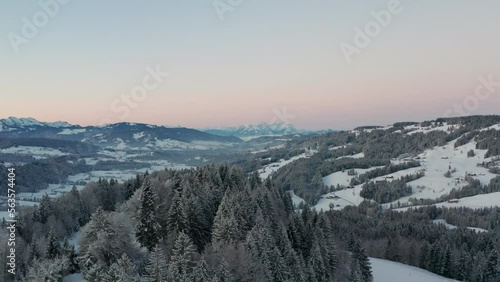 misty winter frozen trees sun