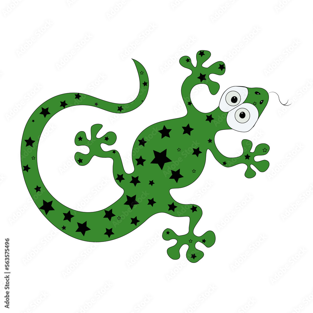 Obraz premium green lizard on white background