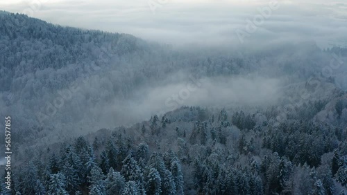 misty morning in the mountains