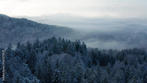 7misty morning in the mountains