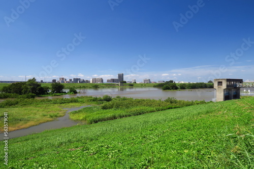 秋の台風一過の翌朝の増水した江戸川と冠水した河川敷風景