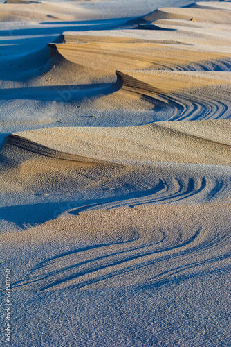 sand dunes in the desert