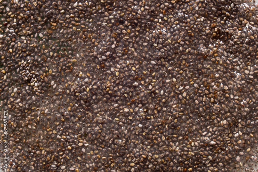 Raw chia seeds wet, and soaked in water create a gelatinous texture. Organic texture abstract background. Raw chia seeds wet, and soaked in water create a gelatinous texture. Organic texture abstract background.