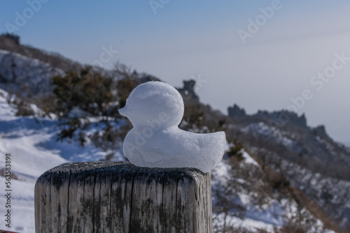 겨울 산의 눈 오리 풍경 snow man photo