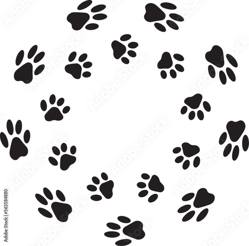 Photography Paw  foot trail print of cat