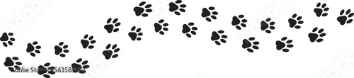 Paw foot trail print of cat. Dog, puppy silhouette animal diagonal tracks.
