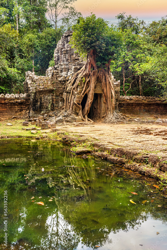 Amazing Ta Som temple in complex Angkor Wat in Siem Reap, Cambodia