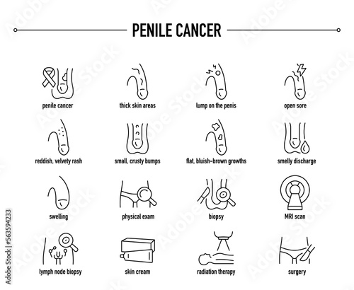 Penile Cancer symptoms, diagnostic and treatment vector icon set. Line editable medical icons.	