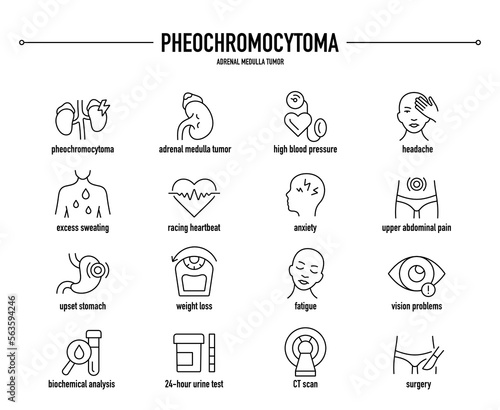 Pheochromocytoma symptoms, diagnostic and treatment vector icon set. Line editable medical icons.	