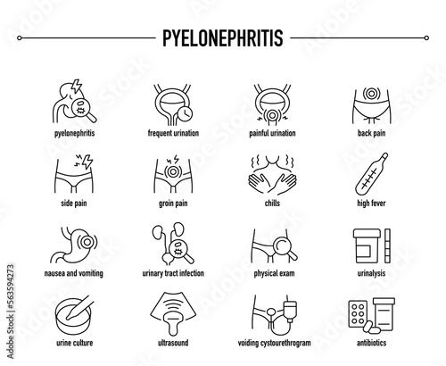 Pyelonephritis symptoms, diagnostic and treatment vector icon set. Line editable medical icons.
