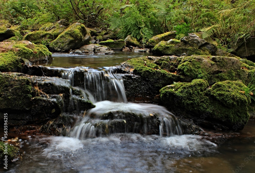 waterfall in the forest waterfall in the forest