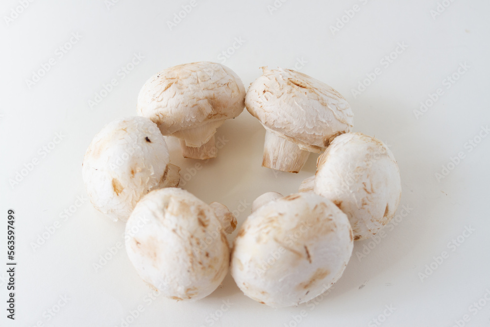 Fresh porcini champignon mushrooms on a white table Fresh porcini champignon mushrooms on a white table