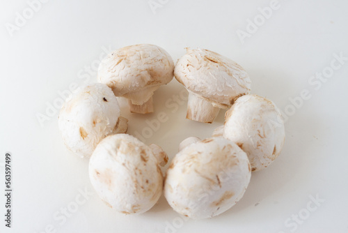 Fresh porcini champignon mushrooms on a white table