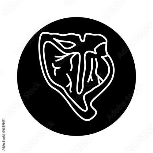 Steak beef porterhouse color line icon. Cutting meat.