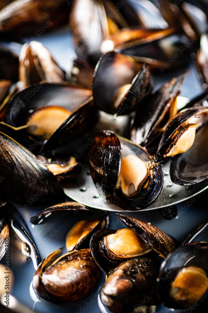 Mussels are cooked in a pot of water. Mussels are cooked in a pot of water.