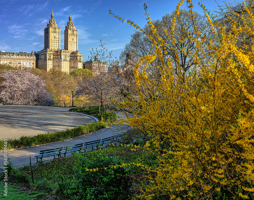 Central Park in spring Central Park in spring