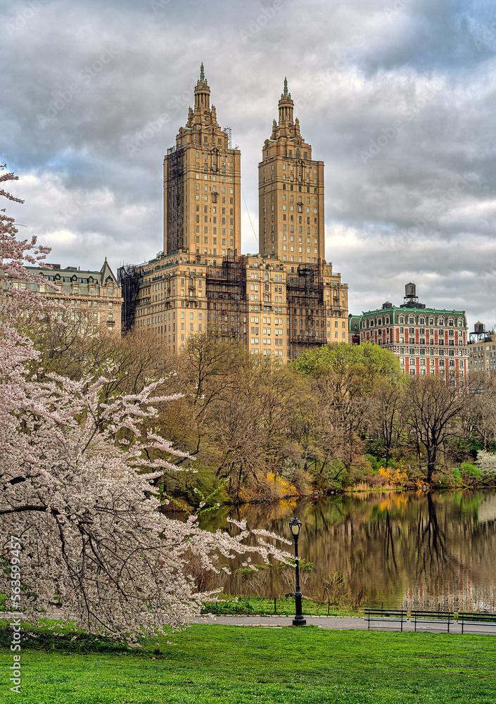 Central Park in spring