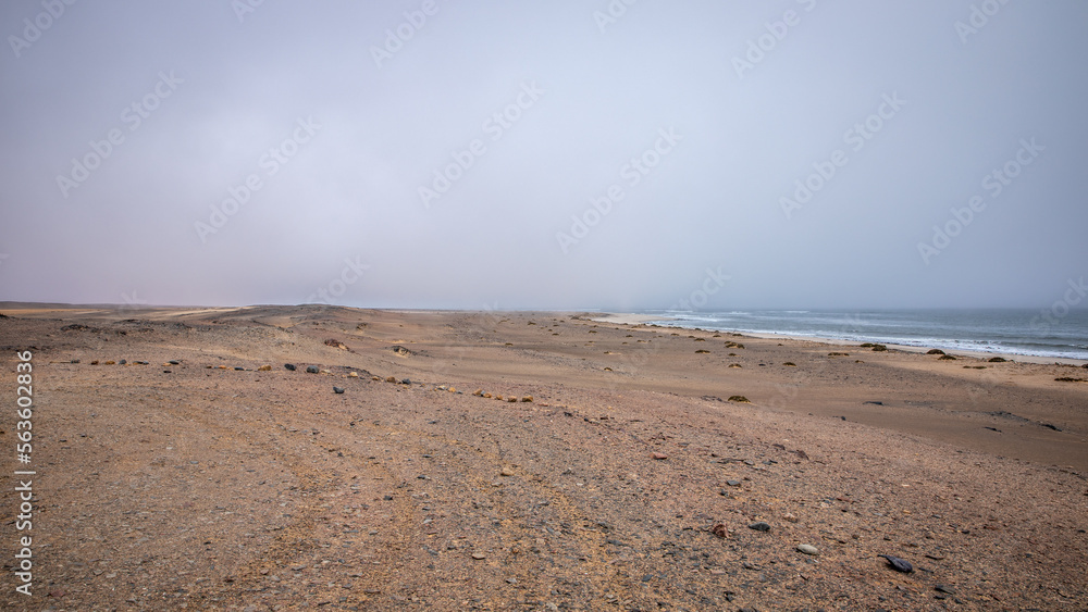 Beach at skeleton Coast, Namibia.