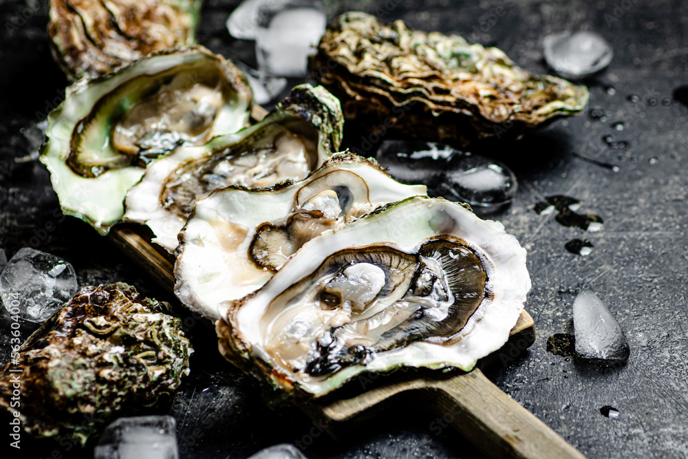 Fresh oysters with ice on a cutting board. Fresh oysters with ice on a cutting board.