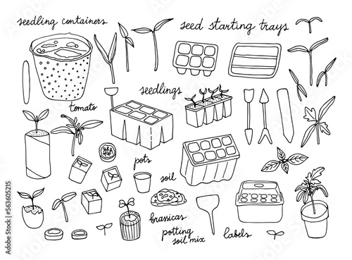 Seed starting set that includes different trays, pots, containers, seedlings, sprouts, labels and some tools. Gardening essential kit for growing seedlings at home. Vector illustration.