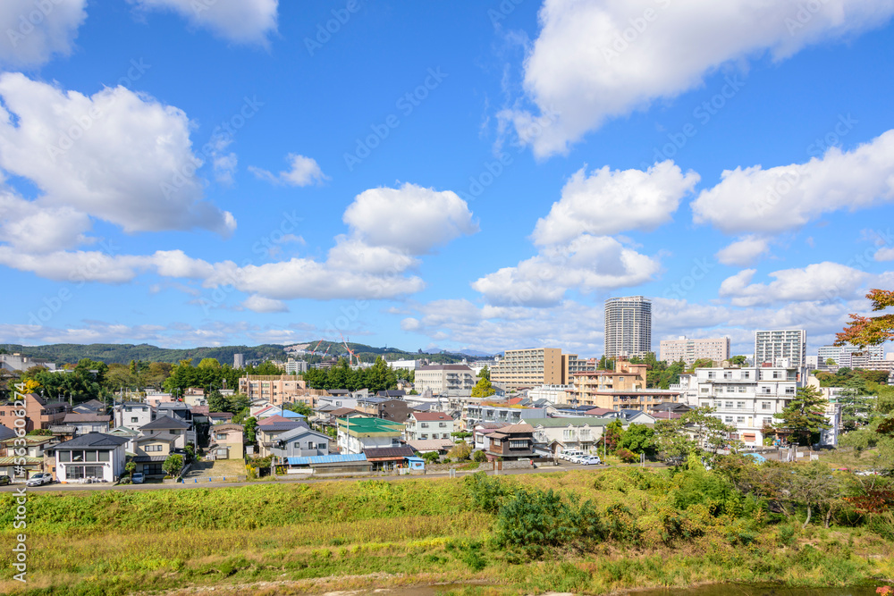 秋の仙台 西公園
