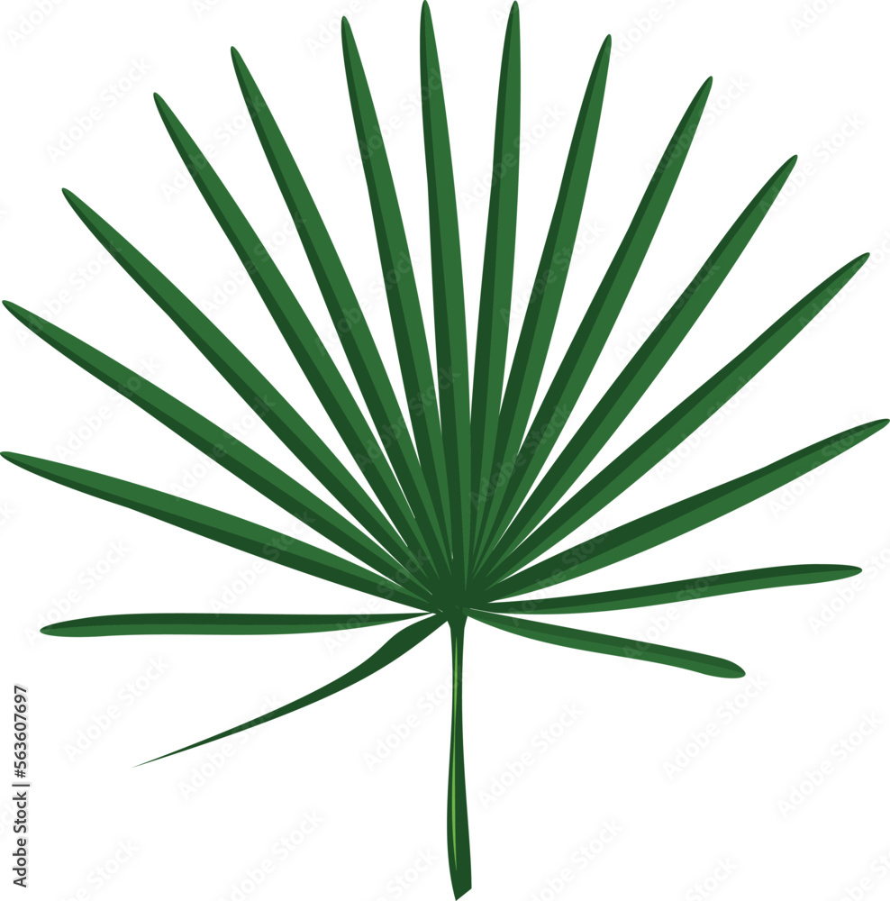 Tropical leaf with green color and veining in round shape Tropical leaf with green color and veining in round shape