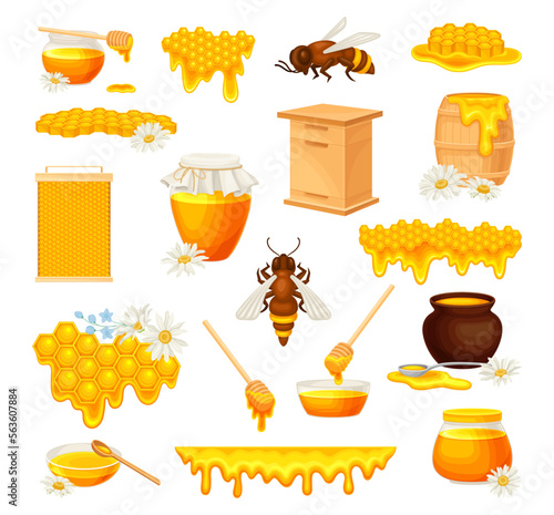 Honey with Bee, Pot, Dipper and Honeycomb with Dripping Liquid Big Vector Set
