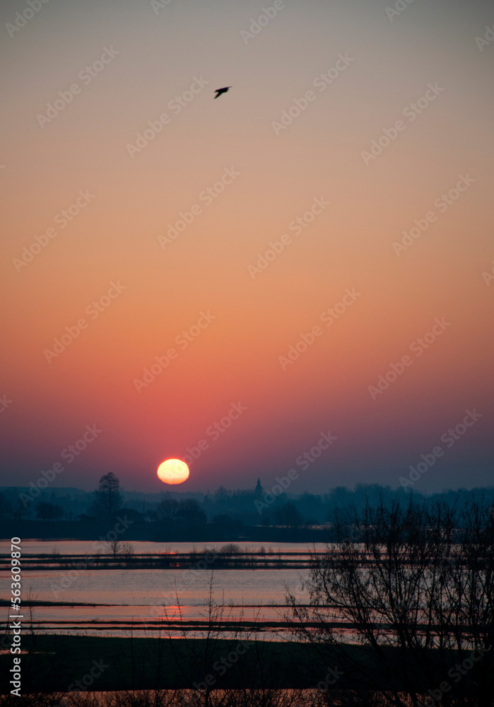 Fototapeta premium In the spring, the Goryn River spills so it can flood some of the meadow.