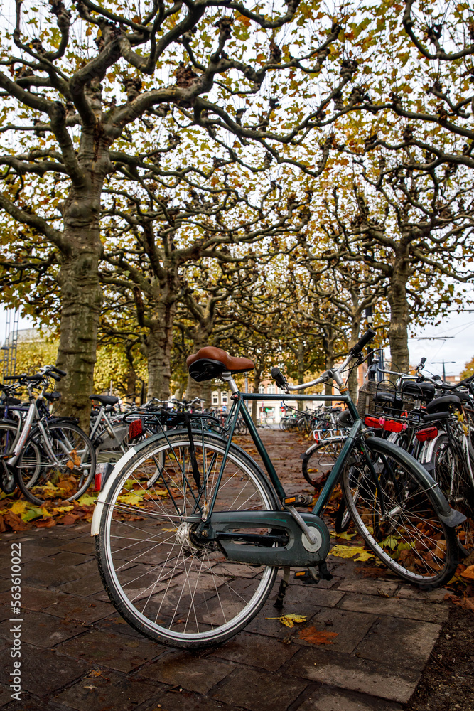 A lot of old bicycles on the bike parking in the Netherlands.