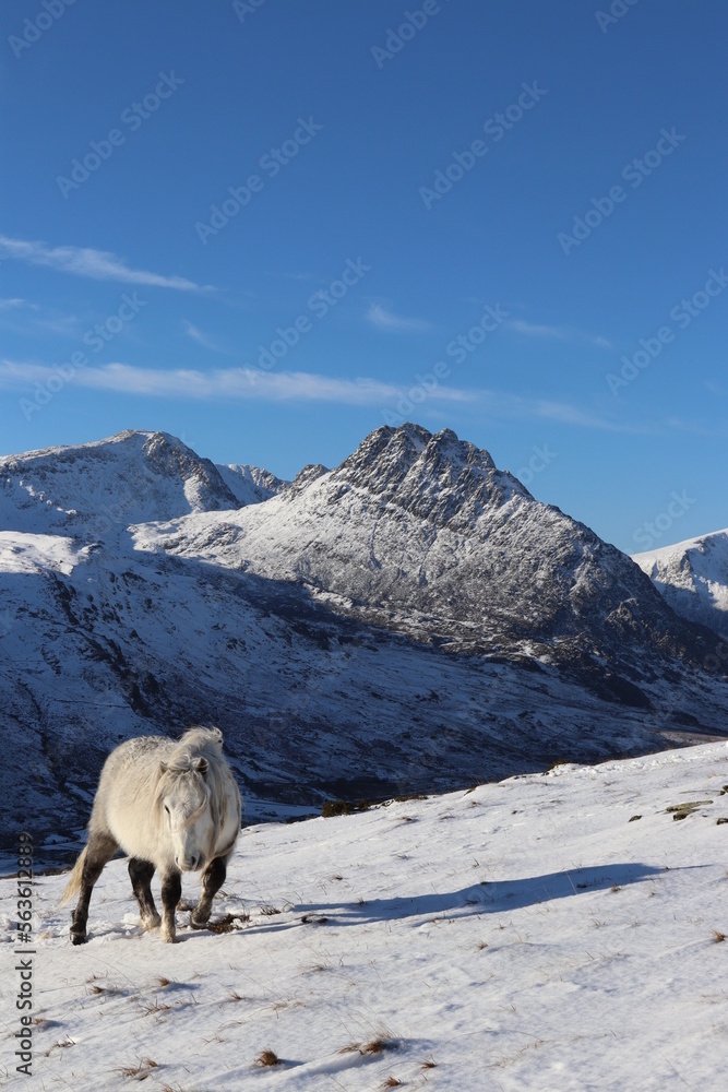 Naklejka premium Snowdonia tryfan carneddau glyderau winter wales 
