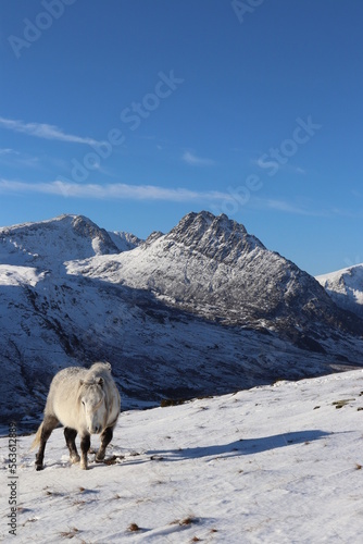 Snowdonia tryfan carneddau glyderau winter wales 