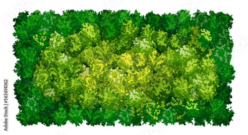Photography Bright green wall pattern with raindeer moss texture on white