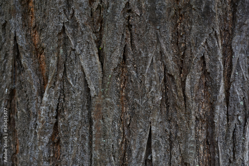 wood, texture, wooden, pattern, brown, surface, old, wood, texture, wooden, pattern, brown, surface, old,