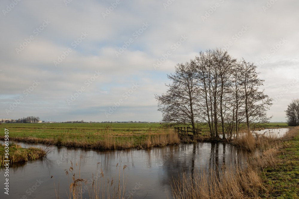 Netherlands use trees to strengthen dam separating canal water as part of Dutch flood management system for the polder which is land reclaimed from the sea and converted into arable farm fields