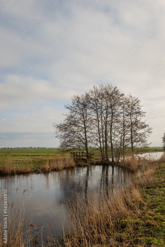 Netherlands use trees to strengthen dam separating canal water as part of Dutch flood management system for the polder which is land reclaimed from the sea and converted into arable farm fields