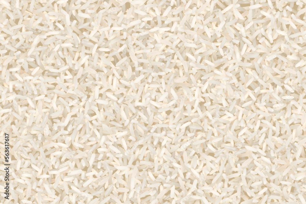 Uncooked basmati or jasmine rice seamless pattern. Vector background of raw ingredient of traditional indian, japanese, thai, or chinese food. Organic nutrition