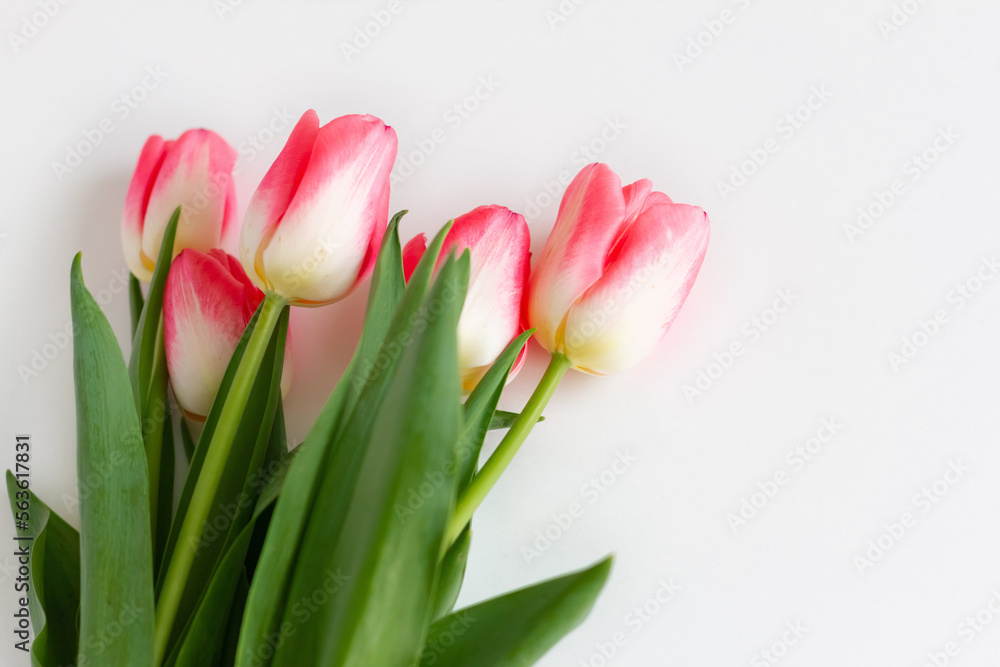 Obraz premium Pink tulip flowers bouquet on white background. Flat lay, top view. Selective focus. Shallow depth of field