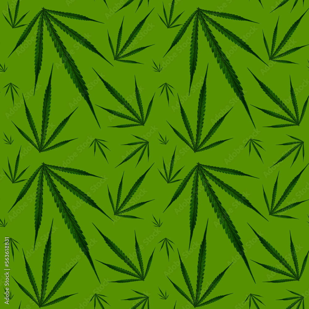 Green hemp leaf with no seam pattern. Design template.