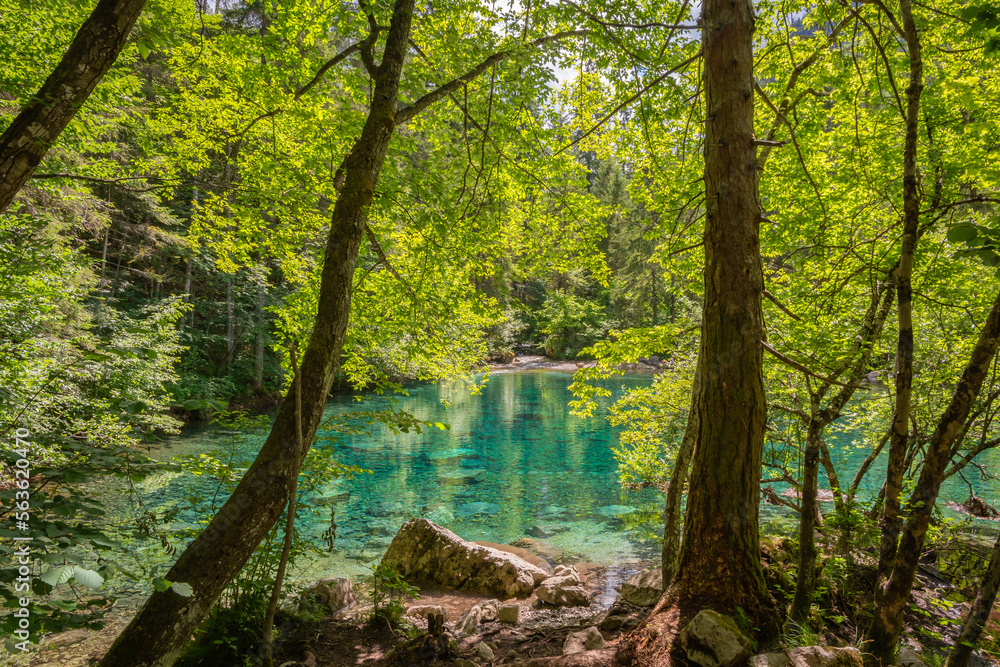 the ephemeral ponds of Tovel: small pearls with turquoise and indigo hues set within the basins of the extensive stony ground of Tovel’s Glares - Trentino Alto Adige,Italy
