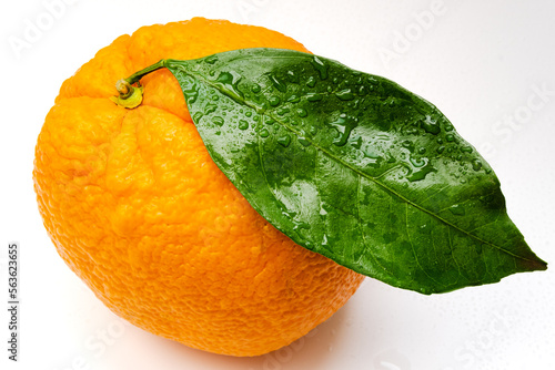Whole orange fruit and green leaves isolated on white background.Fresh orange citrus with waterdrops close up