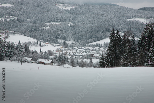 winter landscape in the mountains © Timotej